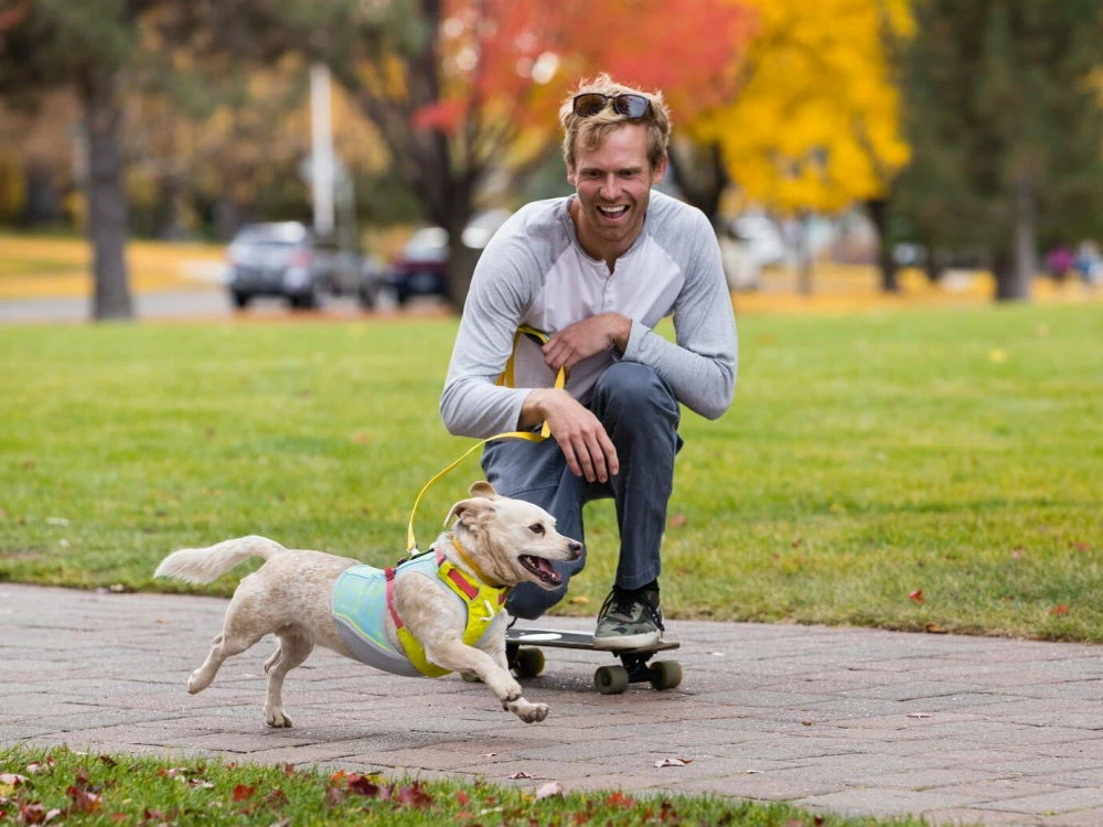 Ruffwear Swamp Cooler Zip Kühlweste Für Hunde Blue Mist 11 Ruffwear Swamp Cooler Zip Kühlweste Für Hunde Blue Mist – Bild 9