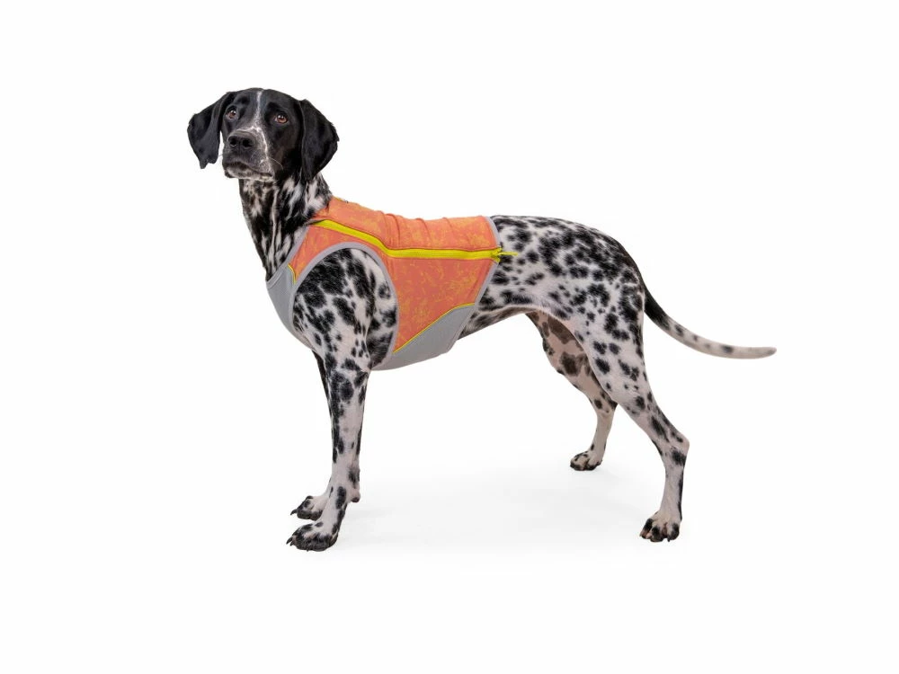 Ruffwear Swamp Cooler Zip Kühlweste Für Hunde Salmon Pink 7 Ruffwear Swamp Cooler Zip Kühlweste Für Hunde Salmon Pink – Bild 5