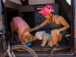 Ruffwear Swamp Cooler Zip Kühlweste Für Hunde Salmon Pink 15 Ruffwear Swamp Cooler Zip Kühlweste Für Hunde Salmon Pink -Günstiges Hundeshop Geschäft 920640 Product