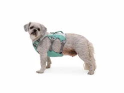 Ruffwear Swamp Cooler Kühlendes Hundegeschirr Sage Green -Günstiges Hundeshop Geschäft 921767 Product