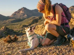 Ruffwear Swamp Cooler Kühlendes Hundegeschirr Sage Green -Günstiges Hundeshop Geschäft 921768 Product