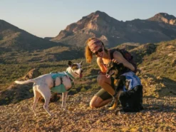 Ruffwear Swamp Cooler Kühlendes Hundegeschirr Sage Green -Günstiges Hundeshop Geschäft 921769 Product