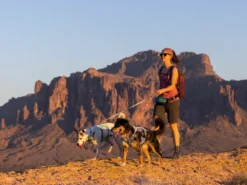 Ruffwear Swamp Cooler Kühlendes Hundegeschirr Sage Green -Günstiges Hundeshop Geschäft 921770 Product