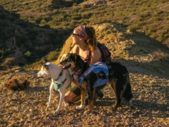 Ruffwear Swamp Cooler Kühlendes Hundegeschirr Sage Green -Günstiges Hundeshop Geschäft 921771 Product