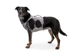 Ruffwear Swamp Cooler Kühlendes Hundegeschirr Graphite Gray -Günstiges Hundeshop Geschäft 922339 Product