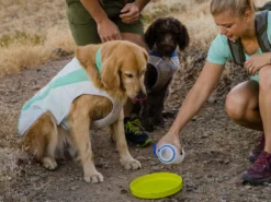 Ruffwear Swamp Cooler Kühlweste Für Hunde Sage Green -Günstiges Hundeshop Geschäft 923476 Product