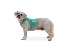 Ruffwear Swamp Cooler Zip Kühlweste Für Hunde Aurora Teal 13 Ruffwear Swamp Cooler Zip Kühlweste Für Hunde Aurora Teal -Günstiges Hundeshop Geschäft 924283 Product