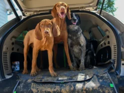 Kurgo Cargo Cape Kofferraum Schutzdecke 13 Kurgo Cargo Cape Kofferraum Schutzdecke -Günstiges Hundeshop Geschäft 925154 Product