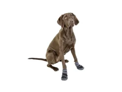 Hundeschuhe Pfotenschutz Active 2-er Set 11 Hundeschuhe Pfotenschutz Active 2-er Set -Günstiges Hundeshop Geschäft 926391 Product