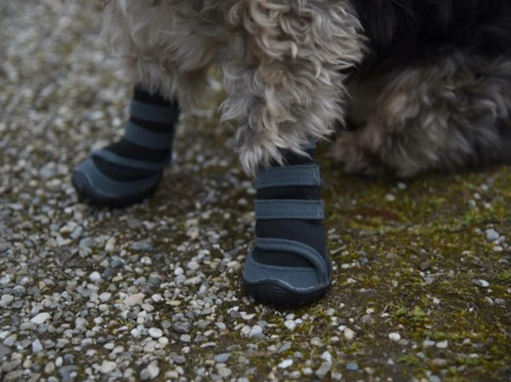 Hundeschuhe Pfotenschutz Active 2-er Set 7 Hundeschuhe Pfotenschutz Active 2-er Set – Bild 5