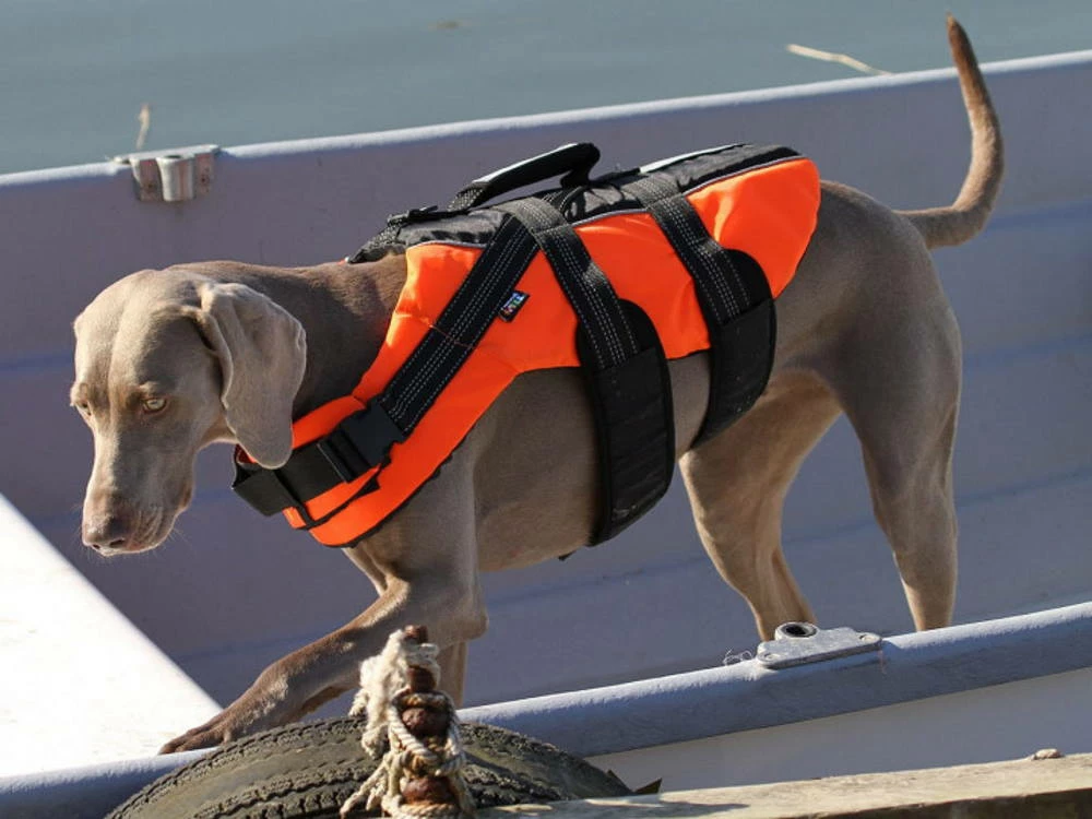 Rukka Pets Schwimmweste Für Hunde Safty Orange 4 Rukka Pets Schwimmweste Für Hunde Safty Orange – Bild 2