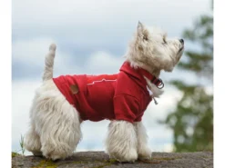 Rukka Pets Hunde-Hoodie Sierra Red 9 Rukka Pets Hunde-Hoodie Sierra Red -Günstiges Hundeshop Geschäft 930918 Product