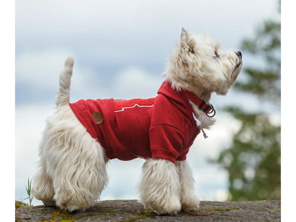 Rukka Pets Hunde-Hoodie Sierra Red 4 Rukka Pets Hunde-Hoodie Sierra Red – Bild 2