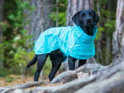 Rukka Pets Regenjacke Für Hunde Hase Aqua 7 Rukka Pets Regenjacke Für Hunde Hase Aqua -Günstiges Hundeshop Geschäft 930957 Product
