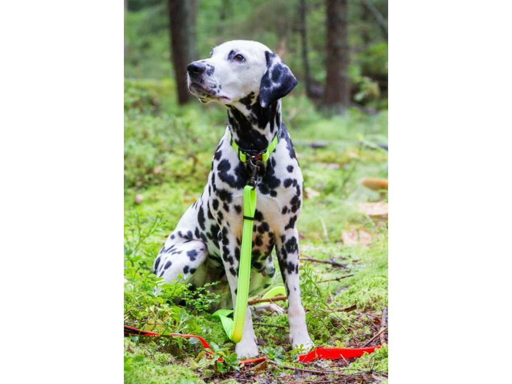 Rukka Pets Hundeleine Bliss Neongelb 4 Rukka Pets Hundeleine Bliss Neongelb – Bild 2