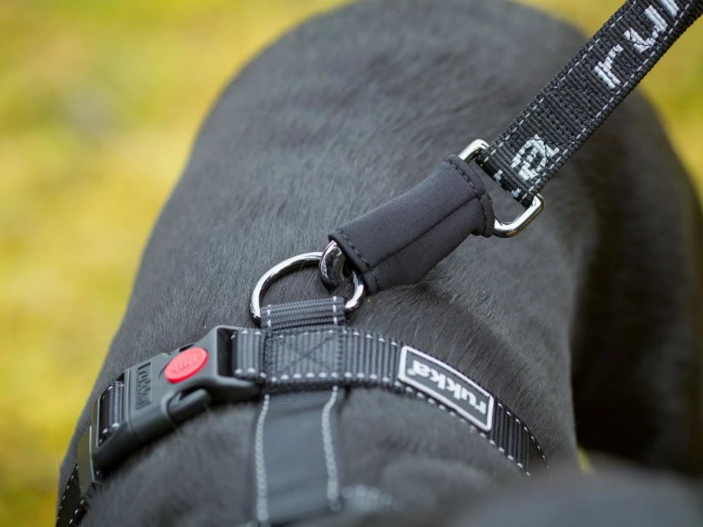 Rukka Pets Wander- Und Joggingleine Für Hunde Grau 4 Rukka Pets Wander- Und Joggingleine Für Hunde Grau – Bild 2