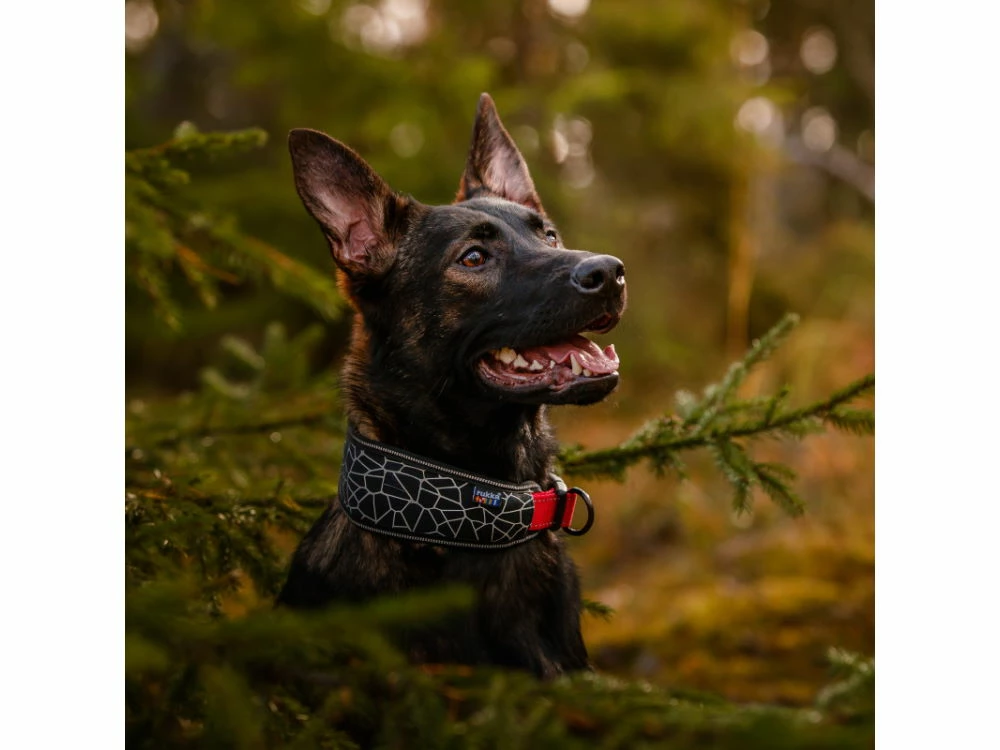 Rukka Pets Neopren Halsband Cube Soft Gepolstert 5 Rukka Pets Neopren Halsband Cube Soft Gepolstert – Bild 3