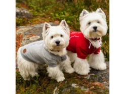 Rukka Pets Hunde-Hoodie Sierra Red 13 Rukka Pets Hunde-Hoodie Sierra Red -Günstiges Hundeshop Geschäft 932925 Product