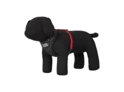 Rukka Pets Hundegeschirr Cube Mini -Günstiges Hundeshop Geschäft 933985 Product