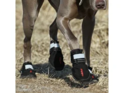Rukka Pets Proff Shoes Hundeschuhe Black 6 Rukka Pets Proff Shoes Hundeschuhe Black -Günstiges Hundeshop Geschäft 934648 Product