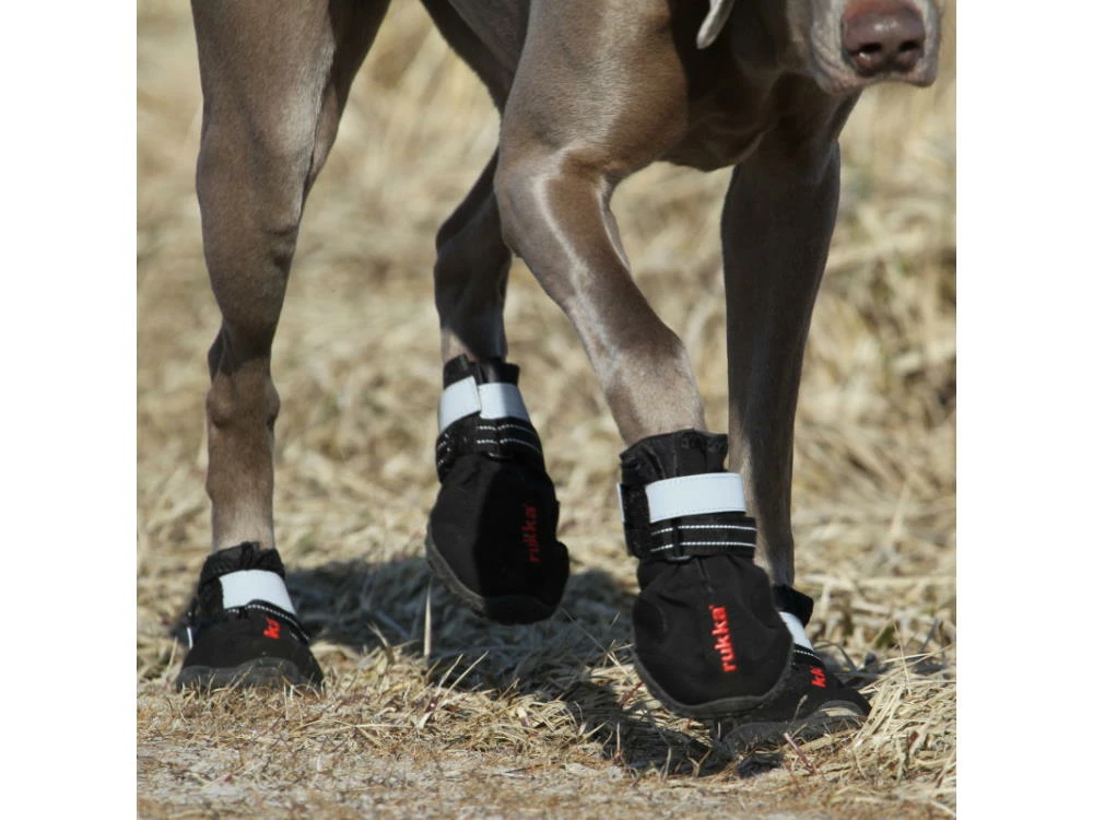 Rukka Pets Proff Shoes Hundeschuhe Black 4 Rukka Pets Proff Shoes Hundeschuhe Black – Bild 2