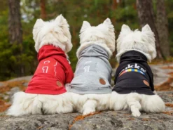 Rukka Pets Hunde-Hoodie Sierra Grau 13 Rukka Pets Hunde-Hoodie Sierra Grau -Günstiges Hundeshop Geschäft 935192 Product