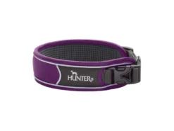 Hunter Divo Hundehalsband Violett/grau