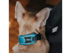 Hunter Divo Hundehalsband Hellblau/grau 12 Hunter Divo Hundehalsband Hellblau/grau -Günstiges Hundeshop Geschäft 939585 Product