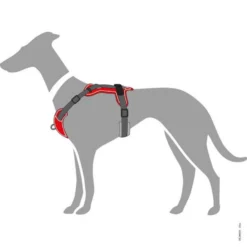 Hunter Hundegeschirr Divo Rot/grau -Günstiges Hundeshop Geschäft 942524 Product