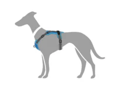 Hunter Hundegeschirr Divo Hellblau/grau -Günstiges Hundeshop Geschäft 943021 Product