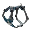 Hunter Hundegeschirr Divo Blau/grau -Günstiges Hundeshop Geschäft 943408 Product