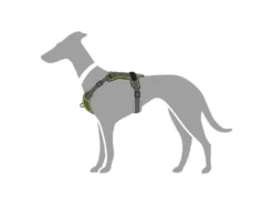 Hunter Hundegeschirr Divo Grün/grau -Günstiges Hundeshop Geschäft 943809 Product