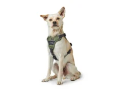 Hunter Hundegeschirr Divo Grün/grau -Günstiges Hundeshop Geschäft 943811 Product