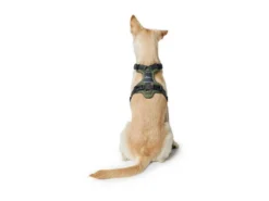 Hunter Hundegeschirr Divo Grün/grau -Günstiges Hundeshop Geschäft 943812 Product