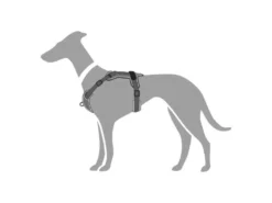 Hunter Hundegeschirr Divo Grau 15 Hunter Hundegeschirr Divo Grau -Günstiges Hundeshop Geschäft 944646 Product