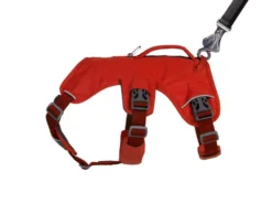 Ruffwear Web Master™ Hundegeschirr Red Sumac -Günstiges Hundeshop Geschäft 946017 Product