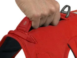 Ruffwear Web Master™ Hundegeschirr Red Sumac -Günstiges Hundeshop Geschäft 946020 Product