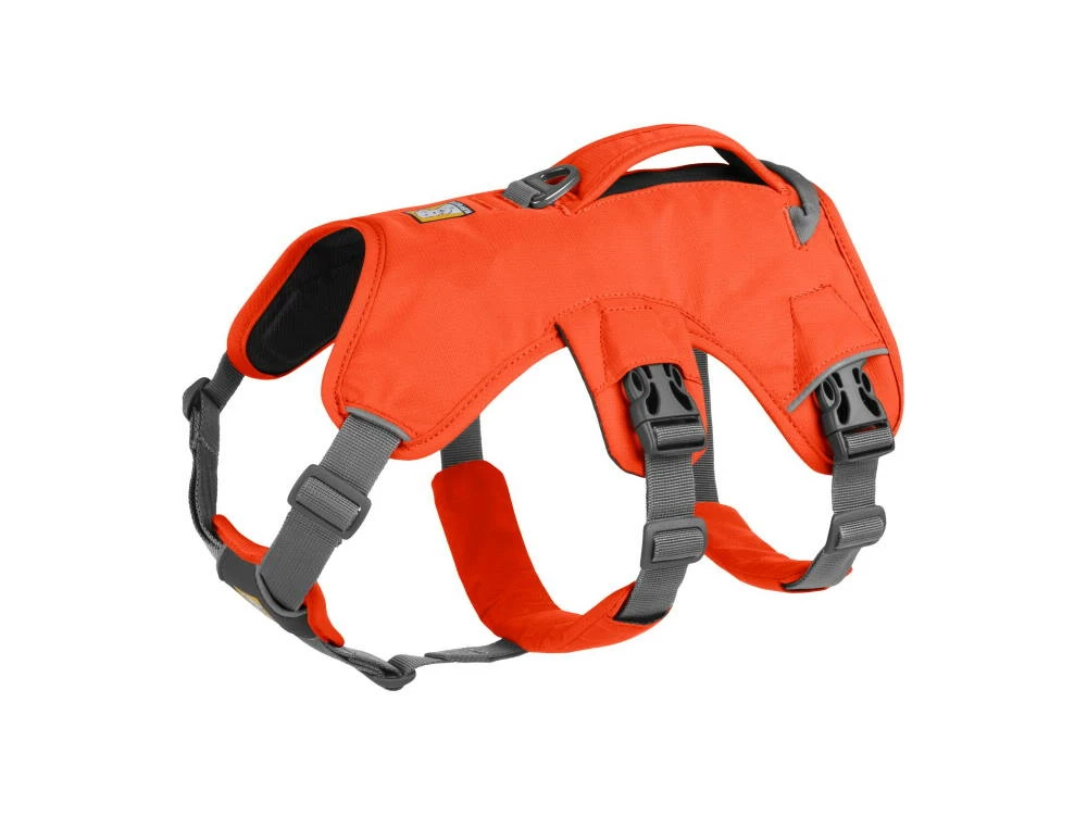 Ruffwear Web Master™ Hundegeschirr Blaze Orange 3 Ruffwear Web Master™ Hundegeschirr Blaze Orange