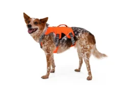 Ruffwear Web Master™ Hundegeschirr Blaze Orange 16 Ruffwear Web Master™ Hundegeschirr Blaze Orange -Günstiges Hundeshop Geschäft 946749 Product
