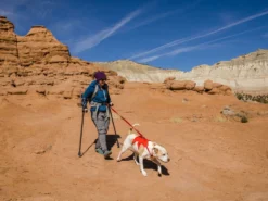 Ruffwear Web Master™ Hundegeschirr Red Sumac -Günstiges Hundeshop Geschäft 947378 Product