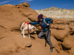 Ruffwear Web Master™ Hundegeschirr Red Sumac -Günstiges Hundeshop Geschäft 947379 Product