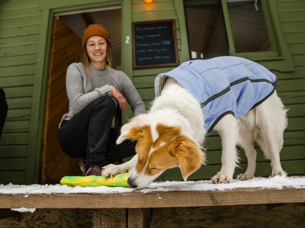 Ruffwear Gnawt-a-Stick™ Befüllbares Hundespielzeug 7 Ruffwear Gnawt-a-Stick™ Befüllbares Hundespielzeug – Bild 5