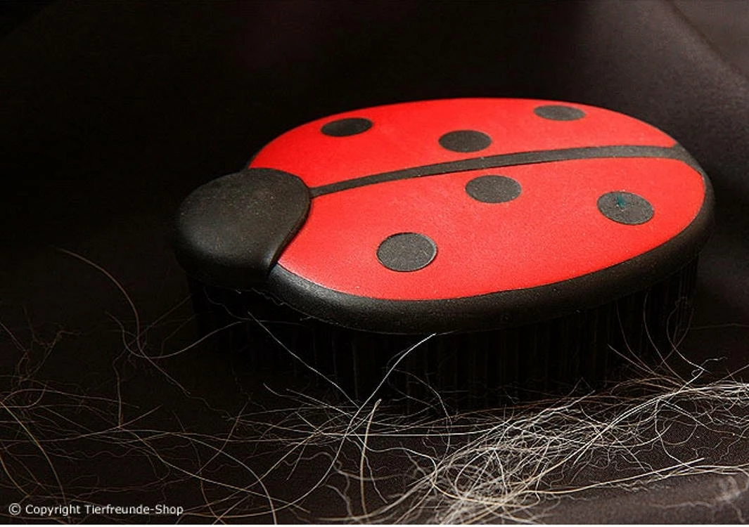 Hunter Power Carl - Reinigungsbürste 6 Hunter Power Carl - Reinigungsbürste – Bild 4