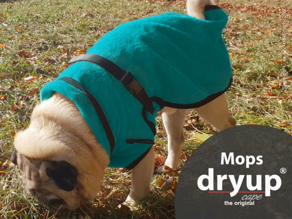 Dryup Cape Hundebademantel Mops Petrol 4 Dryup Cape Hundebademantel Mops Petrol – Bild 2