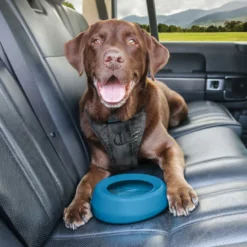 Kurgo Splash Free Silikon Hundenapf -Günstiges Hundeshop Geschäft 951349 Product