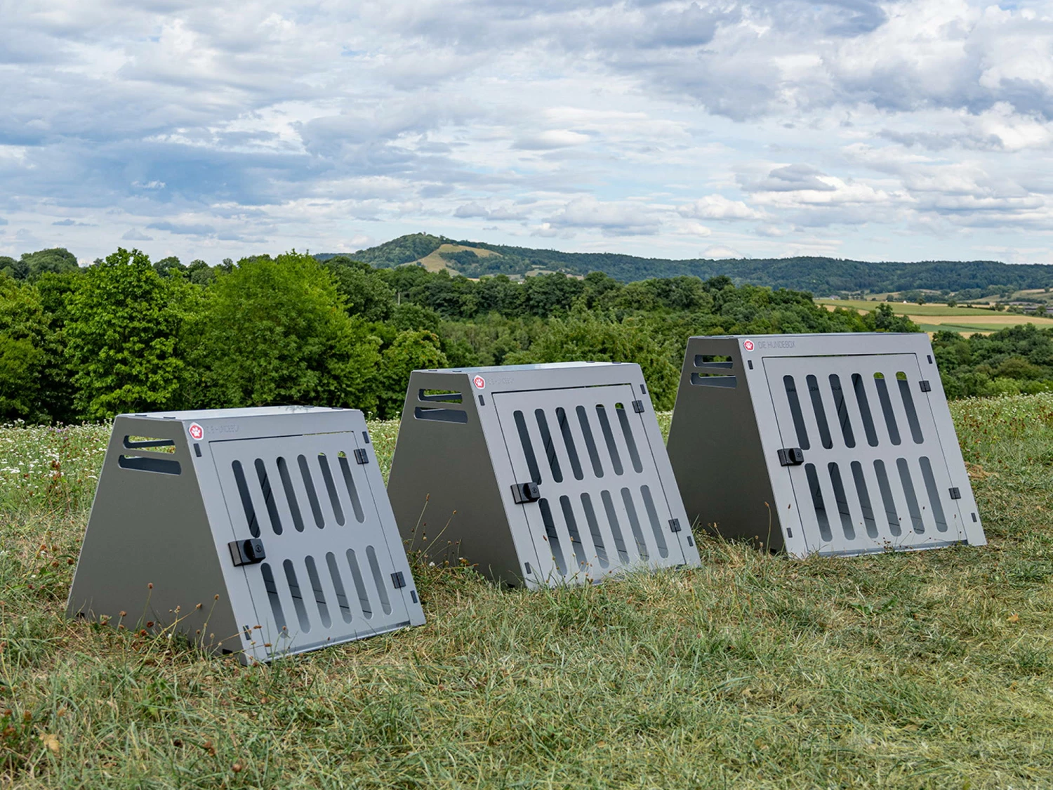 KS Bond Aluminium Hundetransportbox Grey Metallic 5 KS Bond Aluminium Hundetransportbox Grey Metallic – Bild 3