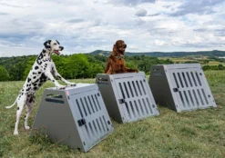 KS Bond Aluminium Hundetransportbox Grey Metallic 16 KS Bond Aluminium Hundetransportbox Grey Metallic -Günstiges Hundeshop Geschäft 957195 Product