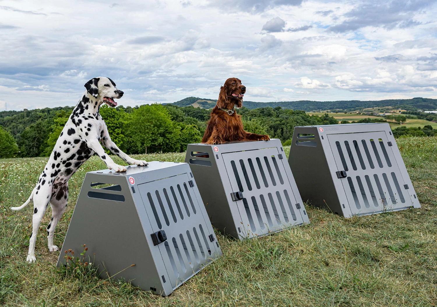 KS Bond Aluminium Hundetransportbox Grey Metallic 6 KS Bond Aluminium Hundetransportbox Grey Metallic – Bild 4