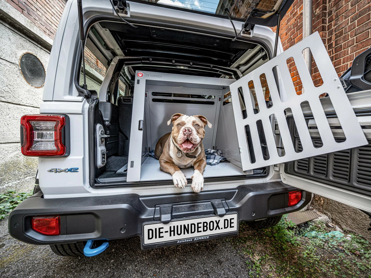 KS Bond Aluminium Hundetransportbox Grey Metallic 11 KS Bond Aluminium Hundetransportbox Grey Metallic – Bild 9
