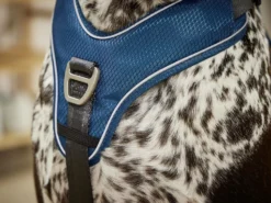 Wolters Active Pro Comfort Hundegeschirr Petrol/anthrazit 7 Wolters Active Pro Comfort Hundegeschirr Petrol/anthrazit -Günstiges Hundeshop Geschäft 960586 Product